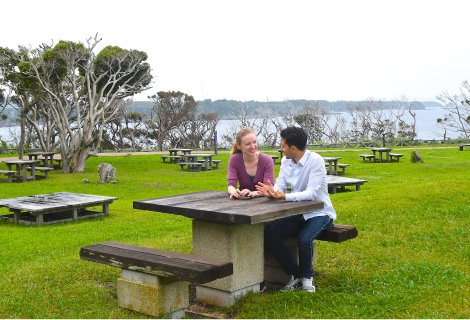 🏞️ 곶 공원(미사키 코엔) 이미지 4